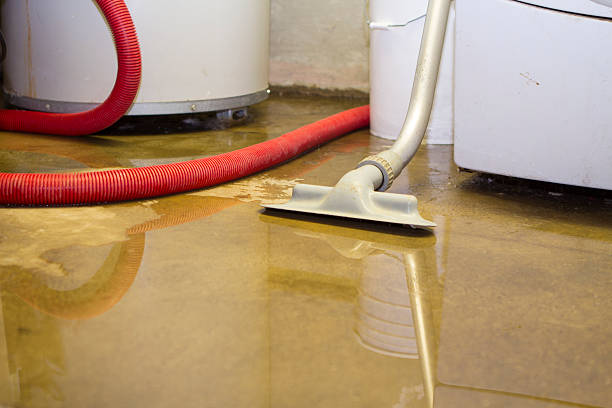 Best Sewage Cleanup and Restoration in Dunnigan, CA